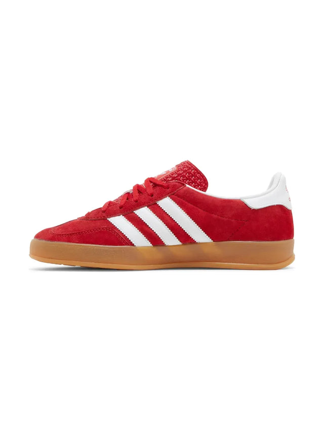 Gazelle Indoor 'Scarlet Gum'