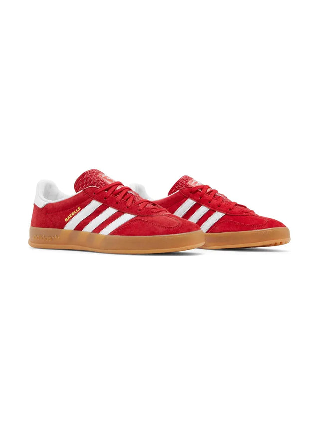 Gazelle Indoor 'Scarlet Gum'