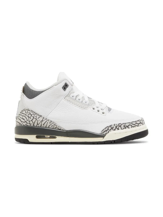 Air Jordan 3 Retro GS 'Hide N' Sneak'