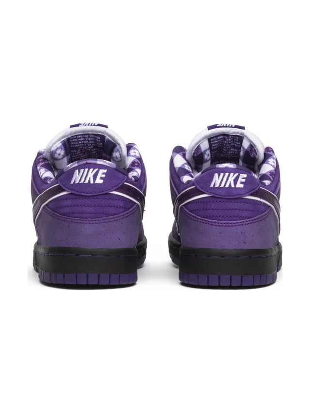 Concepts x Dunk Low SB 'Purple Lobster' Special Box